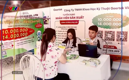 Đầu tư dịch vụ việc làm là chiến lược dài hạn nâng cao chất lượng lao động