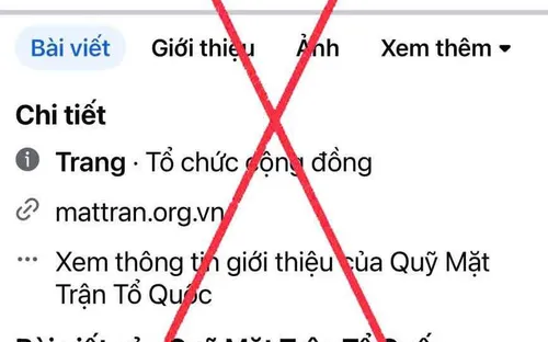 Mạo danh Ủy ban Trung ương Mặt trận Tổ quốc Việt Nam để huy động ủng hộ