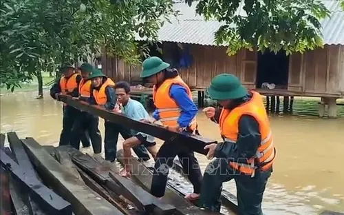 Hầu hết các phụ tải bị gián đoạn do bão số 1 đã được khôi phục cấp điện