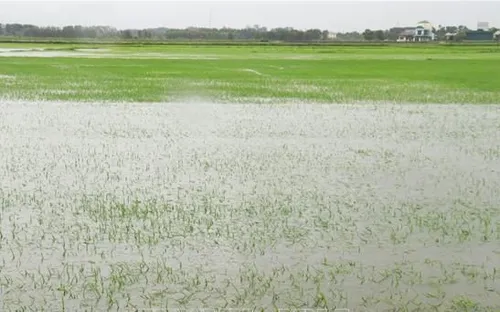 Ngập hơn 22.000 ha lúa và màu, mưa lũ vẫn chia cắt nhiều nơi ở miền Trung