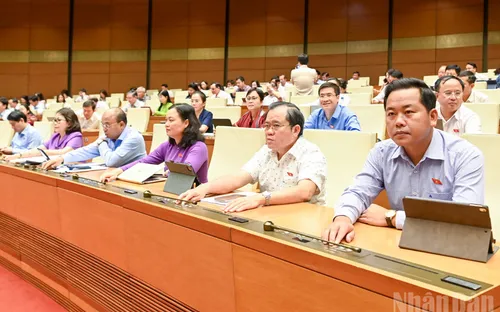 Thêm nhiều chính sách thu hút nhân lực công nghiệp công nghệ số chất lượng cao