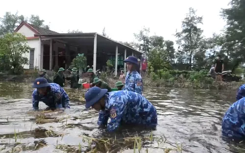Vùng Cảnh sát biển 2 giúp dân thu hoạch lúa