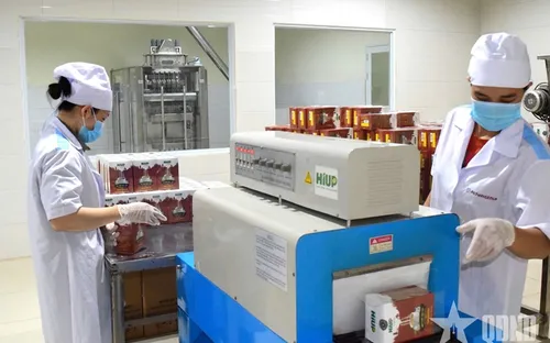 TP.HCM: Gỡ rào cản để thúc đẩy chuyển đổi xanh