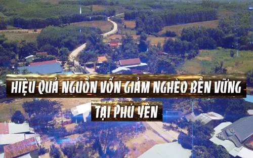 Phóng sự: Hiệu quả nguồn vốn giảm nghèo bền vững tại Phú Yên