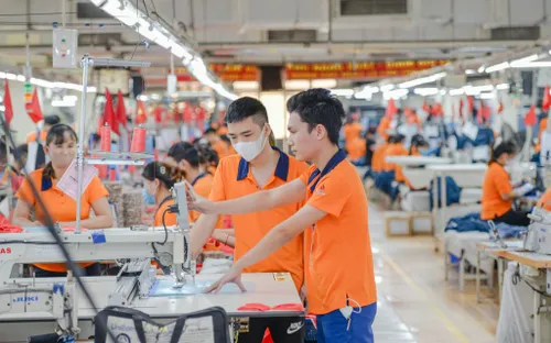 Doanh nghiệp mới thành lập được miễn thuế 3 năm: Đòn bẩy thúc đẩy hộ kinh doanh chuyển đổi