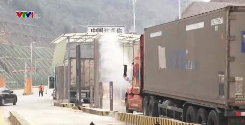 Lạng Sơn tăng tốc thông quan trái cây tươi xuất khẩu: Giải pháp chủ động trong mùa cao điểm