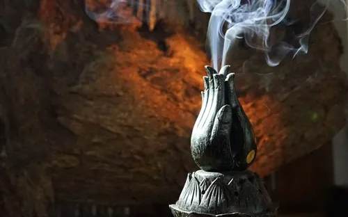 Kỳ nam trầm hương - Điều kỳ diệu của rừng thiêng Việt Nam