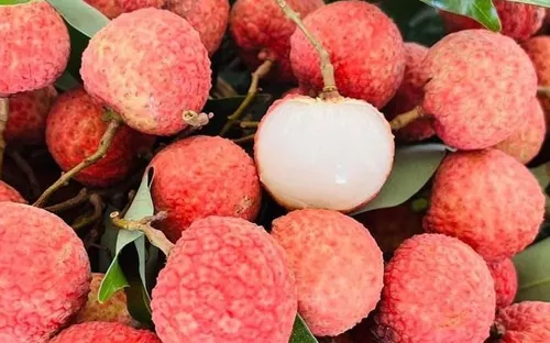 Vải thiều Việt Nam lên kệ siêu thị Đức