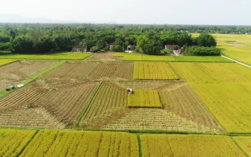 Cấp xã có thể quyết định miễn, giảm thuế sử dụng đất nông nghiệp