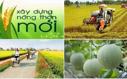 Thực hiện "4 đẩy mạnh", "3 tiên phong" để đạt mục tiêu nông nghiệp sinh thái, nông thôn hiện đại