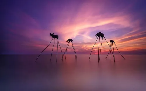 Từ cà phê đến cảnh sắc: Vì sao Việt Nam khiến du khách Anh mê mẩn?