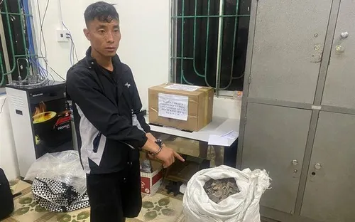 Bắt đối tượng vận chuyển 19 kg vảy tê tê cùng ma túy