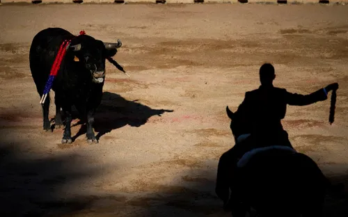 Tây Ban Nha: 8 người bị thương do bò tót húc trong lễ hội San Fermin