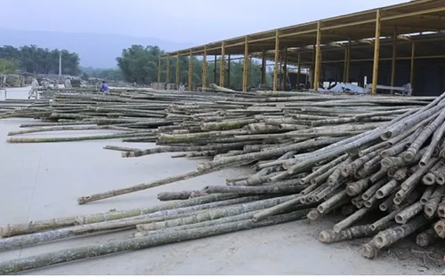 Thanh Hóa yêu cầu doanh nghiệp chấp hành nghiêm pháp luật sau khi dự án được gỡ cảnh báo vi phạm