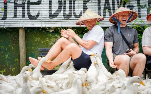 Về Việt Nam, những vị khách Tây thích thú vì được đàn vịt “mát-xa”