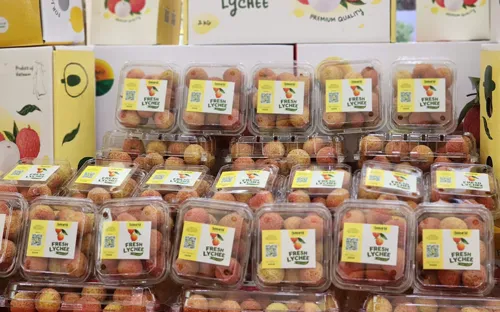 Vụ vải thiều Lục Ngạn 2025 bội thu