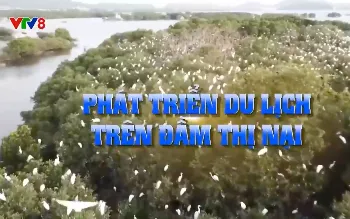Phát triển du lịch trên Đầm Thị Nại
