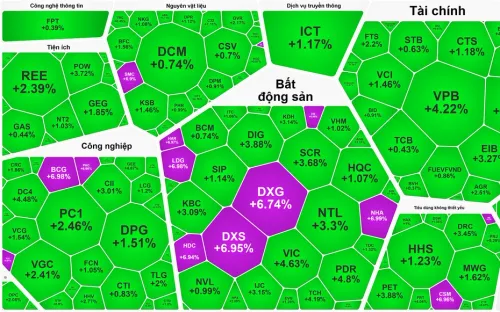 Cổ phiếu bất động sản nổi sóng, loạt mã khoe sắc tím