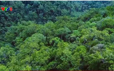 Tổng kết công tác chi trả giảm phát thải khí nhà kính