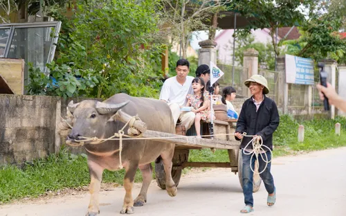 Bố ơi, mình đi đâu thế Tập 10 - Những trải nghiệm "có một không hai" tại Nghệ An