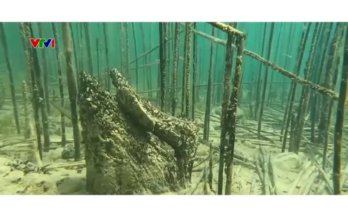 Phát hiện khu định cư dưới nước niên đại 8.000 năm ở châu Âu