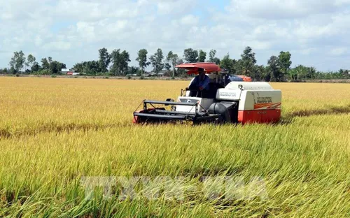 Thủ tướng Chính phủ chỉ đạo 3 vấn đề lớn của vùng Đồng bằng sông Cửu Long