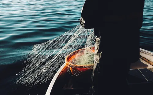 ADN và trí tuệ nhân tạo giúp người Hà Lan tìm lại ngư dân mất tích