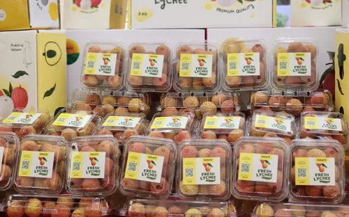 Xuất khẩu vải thiều tháng 6 tăng gấp ba cùng kỳ