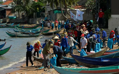Người dân Khánh Hòa chung tay trồng rừng ngập mặn, lan tỏa thông điệp "Sống xanh"
