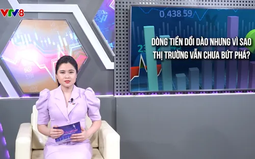 Phố tài chính (Số 20)