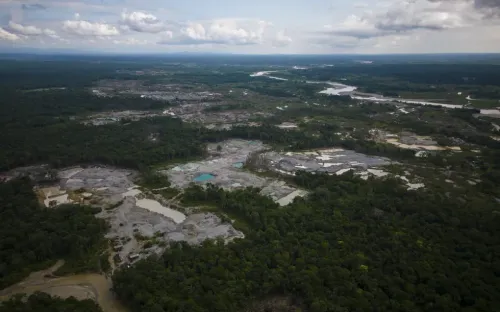 Phá rừng Amazon gia tăng trở lại ở Colombia