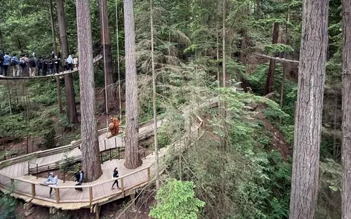 Một ngày lơ lửng trên cầu treo Capilano