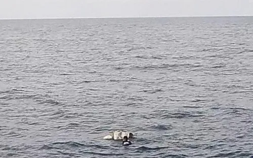 Hỗ trợ y tế khẩn cấp cho ngư dân gặp nạn trên vùng biển Tây Nam