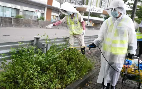 Hong Kong (Trung Quốc) cảnh báo nguy cơ gia tăng ca nhiễm virus chikungunya
