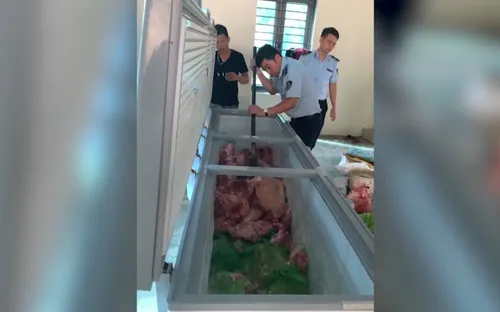 Không để lợn nhiễm bệnh tuồn ra thị trường