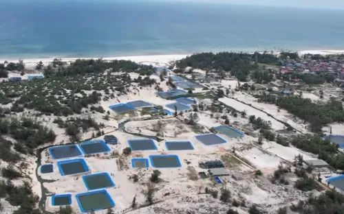 Ô nhiễm môi trường từ hồ nuôi cá lóc trên cát