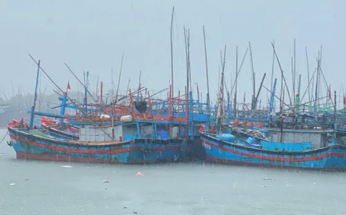 Gia Lai: Khẩn trương tìm kiếm ngư dân mất tích trên biển