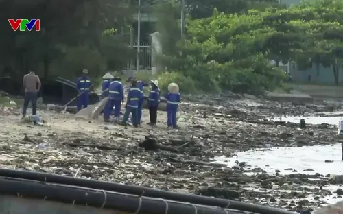 Rác và xà bần bủa vây vịnh Mân Quang