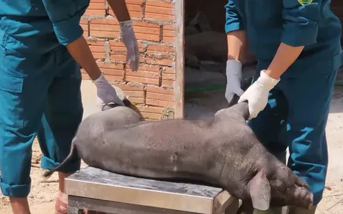 Xã miền núi Đà Nẵng căng mình chống dịch