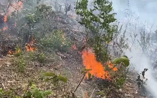 Kịp thời dập tắt vụ cháy rừng tại Đèo Ngang