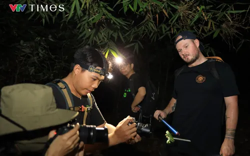 Du khách quốc tế thích thú với tour xem rắn giữa rừng đêm ở Việt Nam