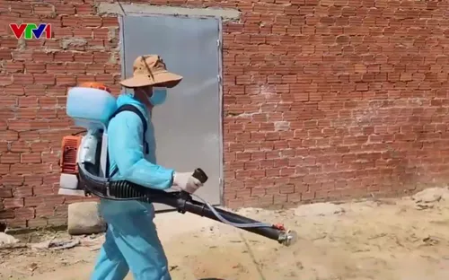 Dịch tả lợn châu Phi lan rộng, xã miền núi lập đội xung kích dập dịch