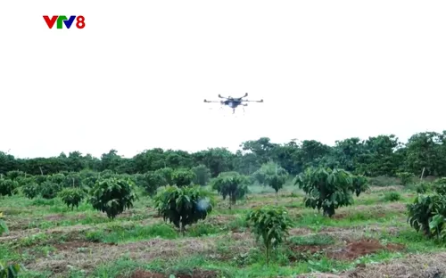 Nông nghiệp xanh: Ứng dụng drone trong sản xuất nông nghiệp (14/8/2025)