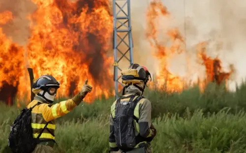Cháy rừng diễn biến nghiêm trọng, Tây Ban Nha căng mình đối phó giữa nắng nóng kỷ lục
