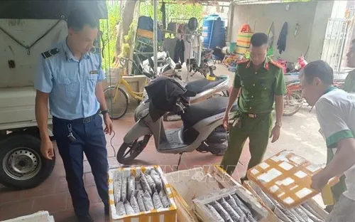 Tiêu hủy hơn 1.000 kg các loại côn trùng không rõ nguồn gốc xuất xứ