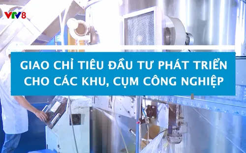 Phóng sự: Giao chỉ tiêu đầu tư phát triển cho các khu, cụm công nghiệp (29/07/2025)