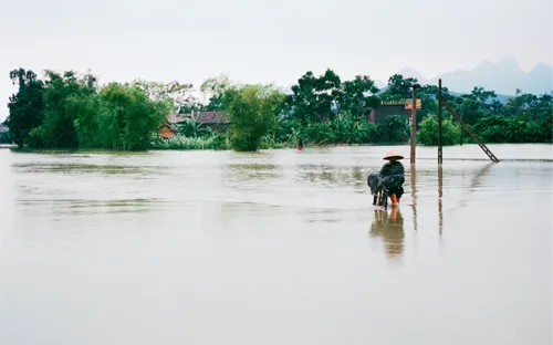 “Phao cứu sinh” mùa lũ