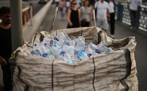 Thử nghiệm ấu trùng bọ để xử lý rác thải nhựa