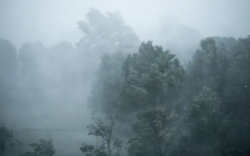 Xử trí ra sao nếu bị cô lập trong mưa bão?