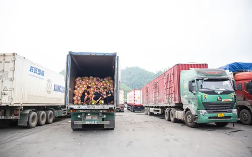 Tăng giám sát chủ động, tối ưu hóa giao thương biên giới